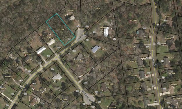 Terreni da costruzione: investi low-cost e guadagni al top