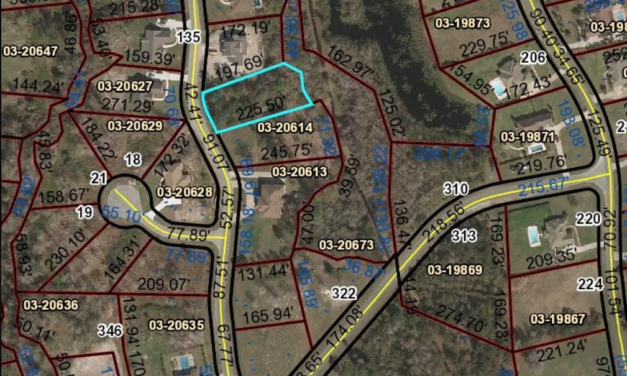 Investire in Georgia: un’altra operazione di Luca