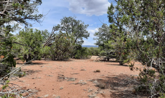 Investire in Arizona e fare il 221% di profitto