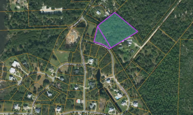 Opzione, terreni e tanti profitti con Michela