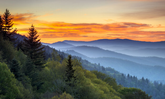 Investire in Tennessee: ottimo Stato per le Direct Mail