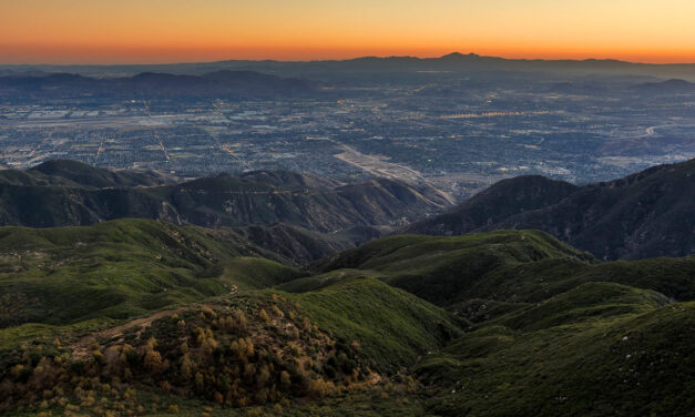 Investire in California: Opzioni, Profitti e un semplice PC